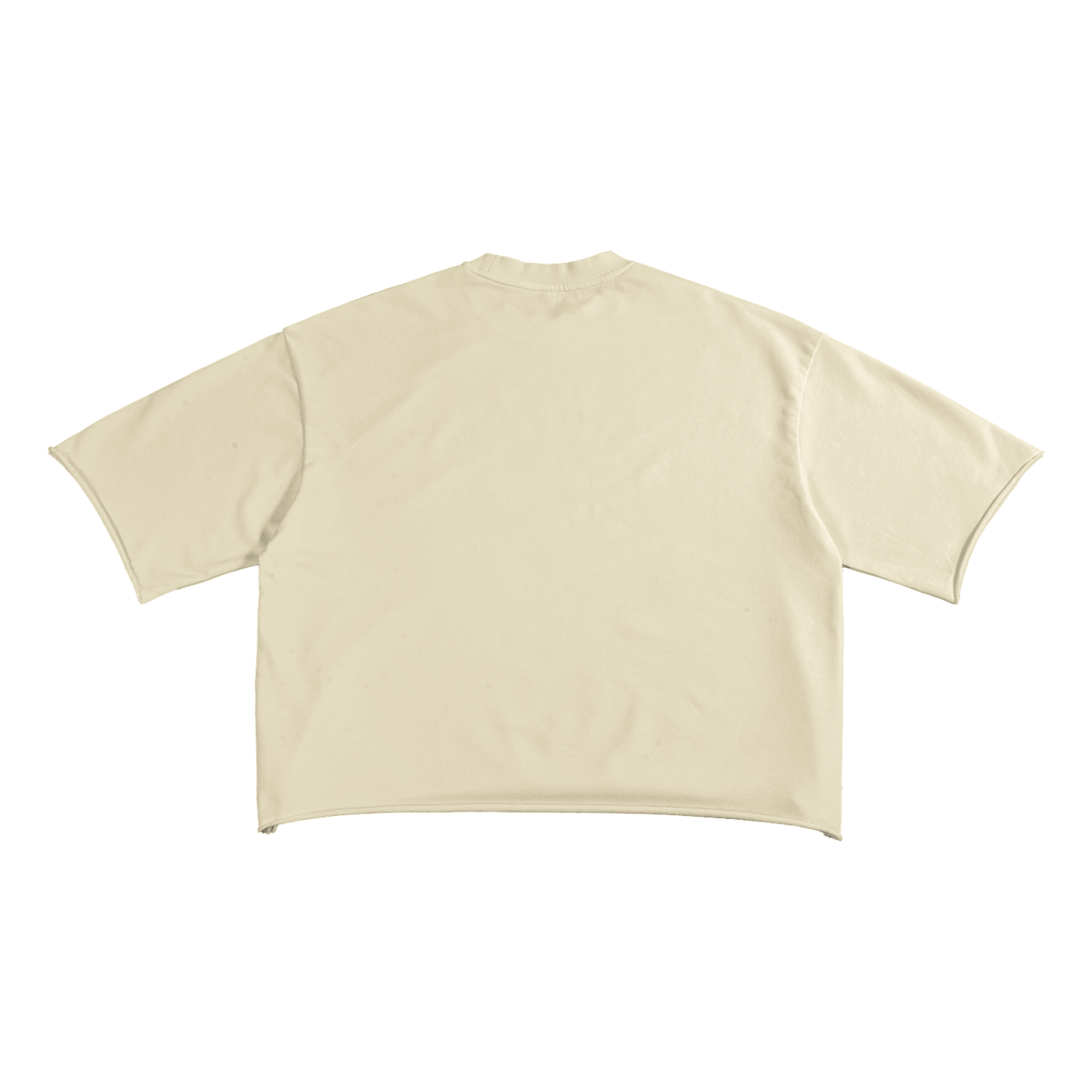 Inmate Crop Top Basic