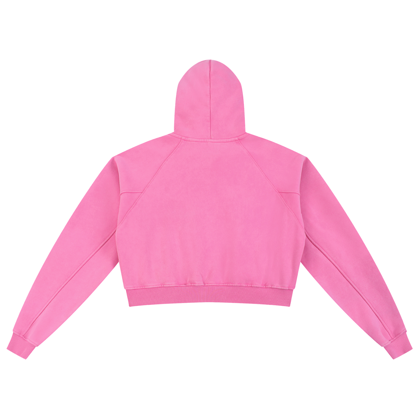 Women’s University Snow Washed Cropped Hoodie