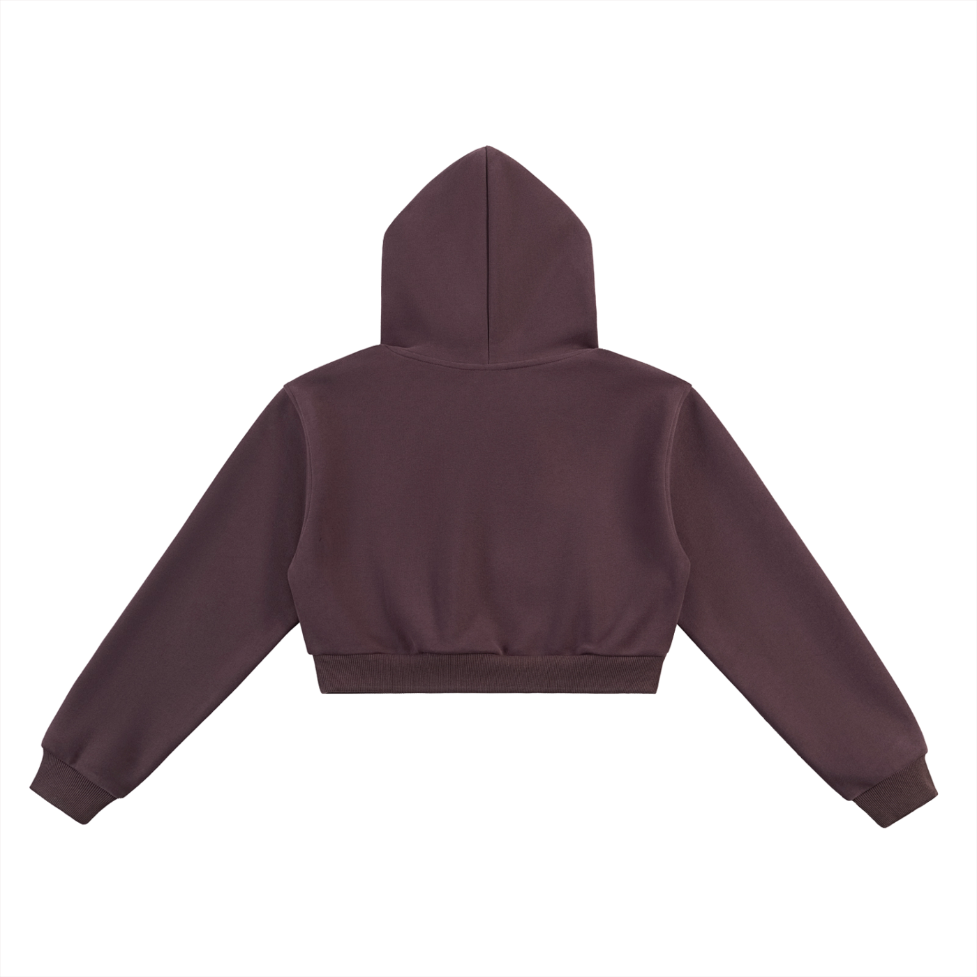 Women’s Burn it Down Essential Cropped Hoodie